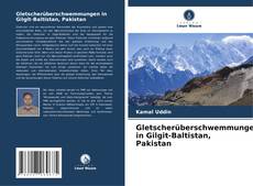 Buchcover von Gletscherüberschwemmungen in Gilgit-Baltistan, Pakistan