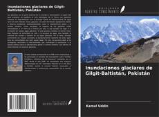 Portada del libro de Inundaciones glaciares de Gilgit-Baltistán, Pakistán