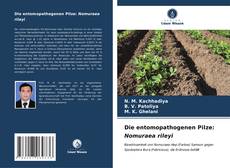 Buchcover von Die entomopathogenen Pilze: Nomuraea rileyi