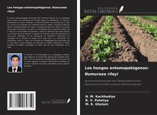 Los hongos entomopatógenos: Nomuraea rileyi kitap kapağı