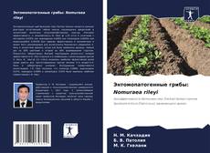 Capa do livro de Энтомопатогенные грибы: Nomuraea rileyi 