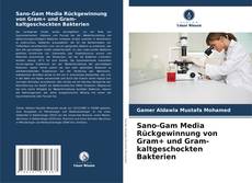 Sano-Gam Media Rückgewinnung von Gram+ und Gram- kaltgeschockten Bakterien的封面