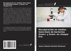 Bookcover of Recuperación en medios Sano-Gam de bacterias Gram+ y Gram- en choque frío