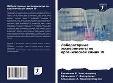 Лабораторные эксперименты по органической химии IV kitap kapağı