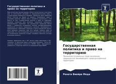 Portada del libro de Государственная политика и право на территорию