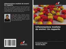 Capa do livro de Infiammazione mediata da enzimi: Un rapporto 