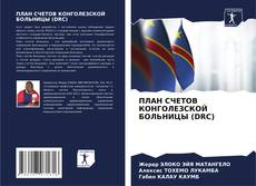 Buchcover von ПЛАН СЧЕТОВ КОНГОЛЕЗСКОЙ БОЛЬНИЦЫ (DRC)