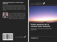 Visión general de la central solar flotante kitap kapağı