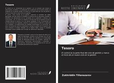 Buchcover von Tesoro