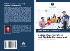 Unternehmensanalyse und Bigdata-Management kitap kapağı
