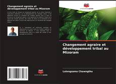 Changement agraire et développement tribal au Mizoram的封面