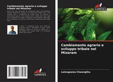 Bookcover of Cambiamento agrario e sviluppo tribale nel Mizoram