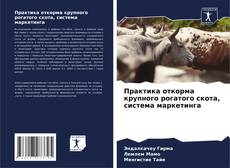 Capa do livro de Практика откорма крупного рогатого скота, система маркетинга 