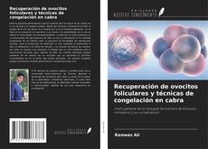 Buchcover von Recuperación de ovocitos foliculares y técnicas de congelación en cabra