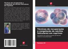 Buchcover von Técnicas de recuperação e congelação de oócitos foliculares em caprinos