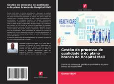 Buchcover von Gestão do processo de qualidade e do plano branco do Hospital Mali