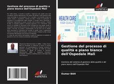 Bookcover of Gestione del processo di qualità e piano bianco dell'Ospedale Mali