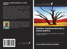 Bookcover of Gestión medioambiental y salud pública