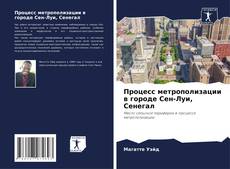 Bookcover of Процесс метрополизации в городе Сен-Луи, Сенегал
