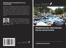 Bookcover of Modelización distribuida lluvia-escorrentía
