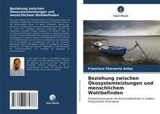 Bookcover of Beziehung zwischen Ökosystemleistungen und menschlichem Wohlbefinden