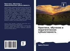Buchcover von Практика, обучение и педагогическая субъективность