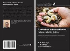 Bookcover of El nematodo entomopatógeno: Heterorhabditis Indica