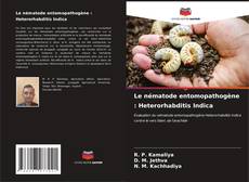 Portada del libro de Le nématode entomopathogène : Heterorhabditis Indica