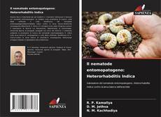 Il nematode entomopatogeno: Heterorhabditis Indica kitap kapağı