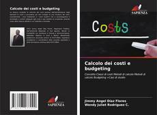 Couverture de Calcolo dei costi e budgeting