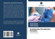 Endodontie-Parodontie-Komplex kitap kapağı