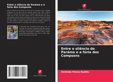 Buchcover von Entre o silêncio do Parámo e a fúria dos Compsons