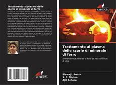 Capa do livro de Trattamento al plasma delle scorie di minerale di ferro 