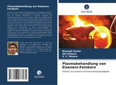 Buchcover von Plasmabehandlung von Eisenerz-Feinkorn