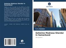 Geheime Madrasa Sherdor in Samarkand kitap kapağı