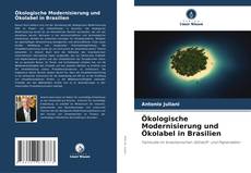 Ökologische Modernisierung und Ökolabel in Brasilien kitap kapağı