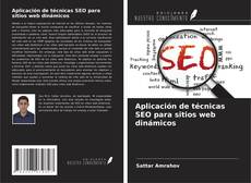 Aplicación de técnicas SEO para sitios web dinámicos kitap kapağı