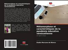 Bookcover of Métamorphose et caractéristiques de la pandémie éducative vénézuélienne