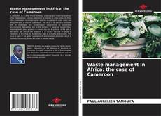 Waste management in Africa: the case of Cameroon kitap kapağı