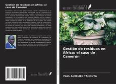 Portada del libro de Gestión de residuos en África: el caso de Camerún