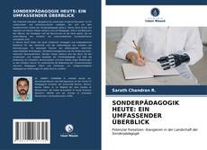 Portada del libro de SONDERPÄDAGOGIK HEUTE: EIN UMFASSENDER ÜBERBLICK