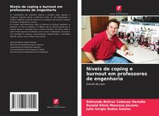 Bookcover of Níveis de coping e burnout em professores de engenharia
