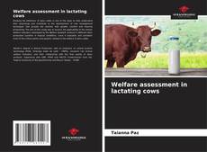 Welfare assessment in lactating cows kitap kapağı