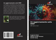 Bookcover of Un aggiornamento sulla MMP