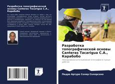 Buchcover von Разработка топографической основы Canteras Tacarigua C.A., Карабобо