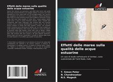 Bookcover of Effetti delle maree sulla qualità delle acque estuarine