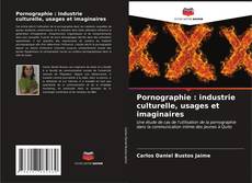 Buchcover von Pornographie : industrie culturelle, usages et imaginaires
