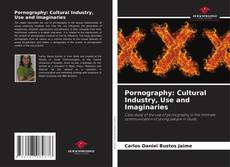 Couverture de Pornography: Cultural Industry, Use and Imaginaries