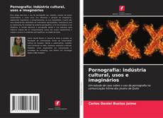 Copertina di Pornografia: indústria cultural, usos e imaginários