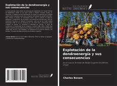 Buchcover von Explotación de la dendroenergía y sus consecuencias
